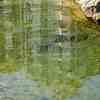 Reflecting_thumb
