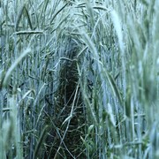 Img_6809_card
