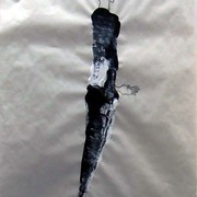 Imga0020_card