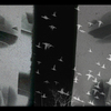 Montage_thumb