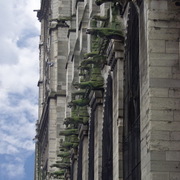 P3252747_card