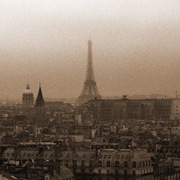 P3252767_card