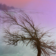 4506242531_ec43a7df14_b_card