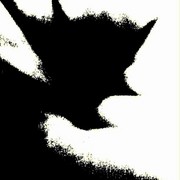 349007986309_0_0_card