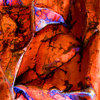 Emergence_thumb