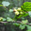 028_thumb