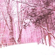 Pink_snow_scene_card