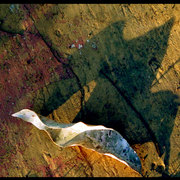Image4_card
