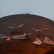 Dsc_0013_card