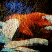 Sleeping_fire_dance_card