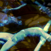 Sleeping_pond_dance_card