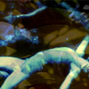 Sleeping_pond_dance_thumb