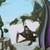 victor_molev