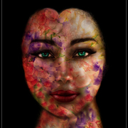 Silent_spring_card