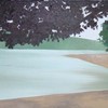 Dscf5253_thumb