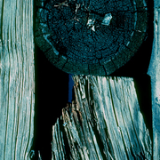 Docks-1_card