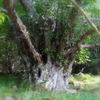 024_thumb