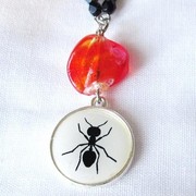 Ant_card