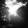 Mariah_029_thumb