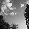 Mariah_028_thumb