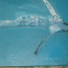 Mujeer_011_thumb