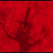 Honeymoon_square