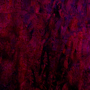 Stranger_in_the_paradise_card