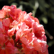 _9043519_card