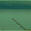 Baia_marzo_2010__3__thumb