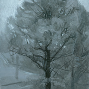 2004-wet-oak_card