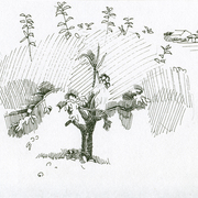 2007-apple-tree-ink2mb_card