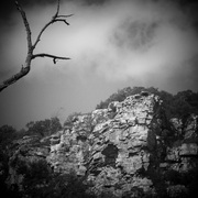 Treemountain_card