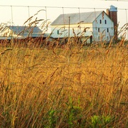 Farmfence_card