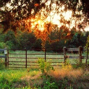 Sunstfence_card