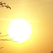 April_16__2010_016_card