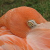 Img_0892_thumb