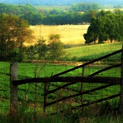 Gateview_card