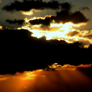 Img_8728c2_card