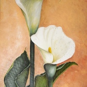 Calle_from_my_garden_card