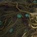 Dsc00144_square