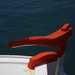 Dsc00141_square