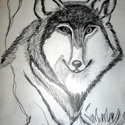 Hpim1162_card