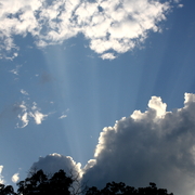 Img_0500_card