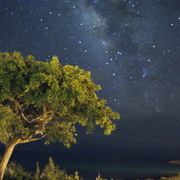 Down_sea_side_at_twilight_stars_card