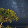 Down_sea_side_at_twilight_stars_thumb