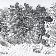 2007-bulatn-birch_rapid_1_4mb_card