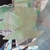 Thin__green_tiny_square