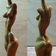 __________card