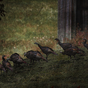 Autumn_promenade_card