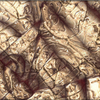 Detail_from_azali_3_2__18x10__thumb